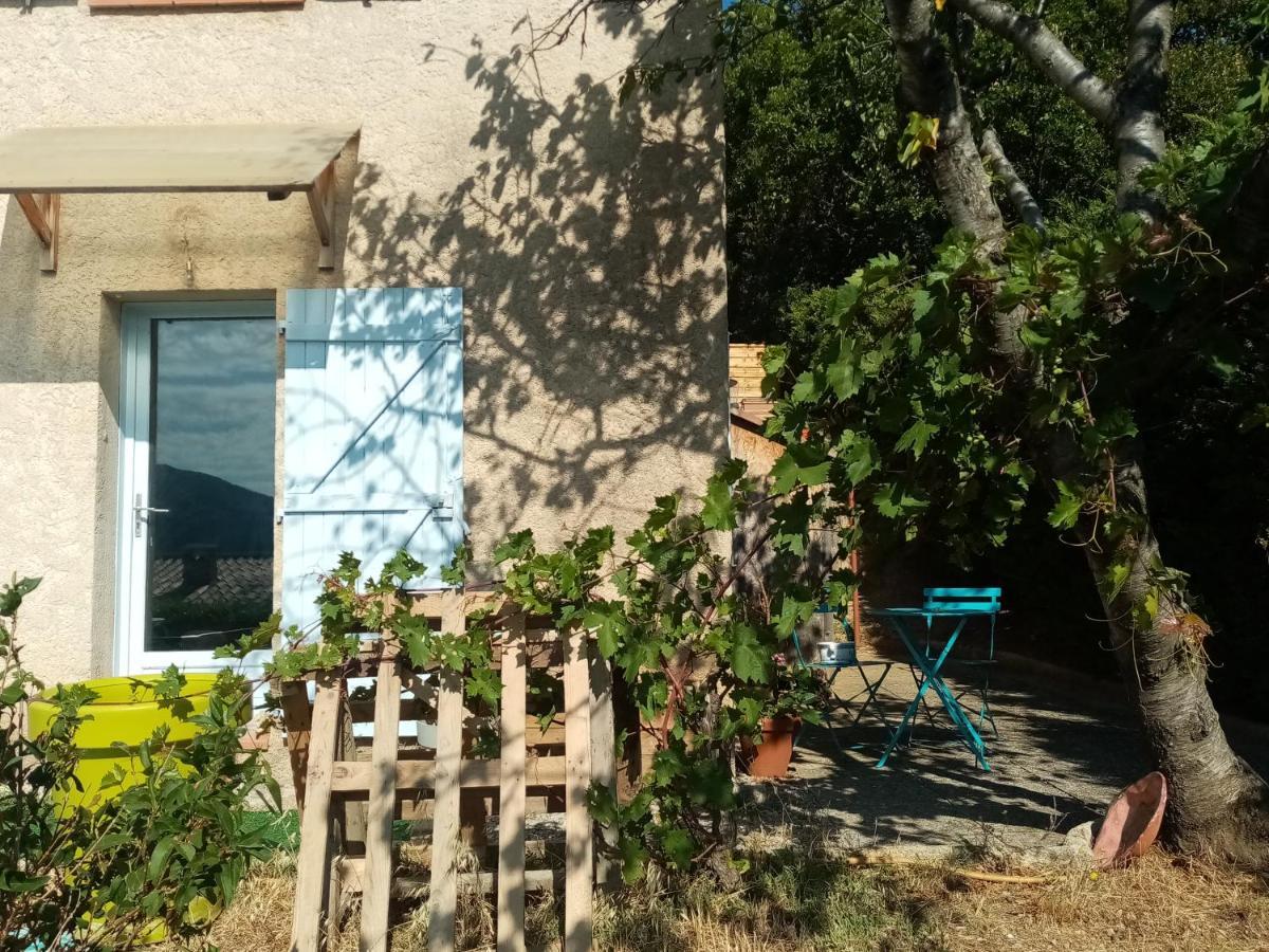 Hysope * Chateau-Arnoux-Saint-Auban