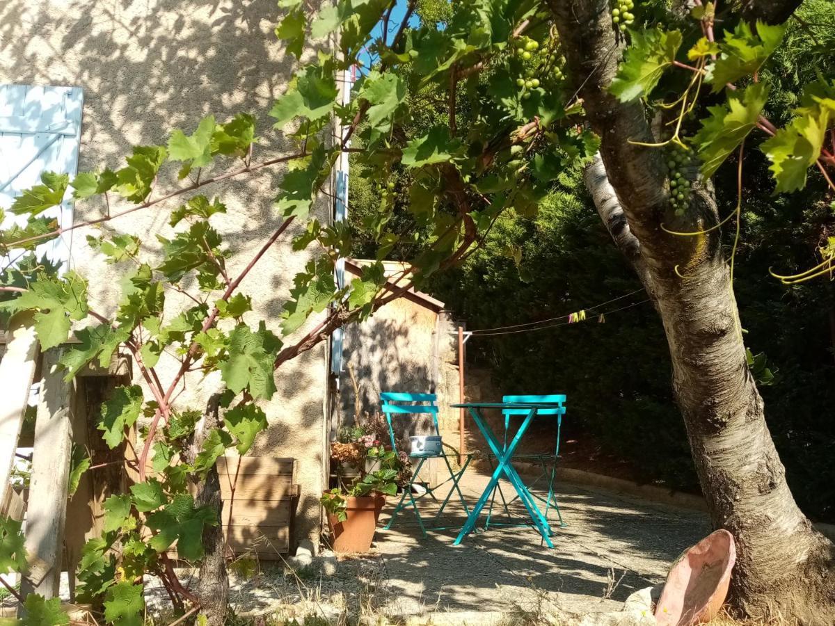 Hysope * Chateau-Arnoux-Saint-Auban