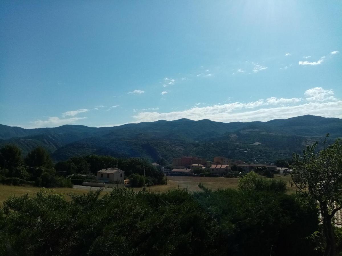 Hysope Chateau-Arnoux-Saint-Auban